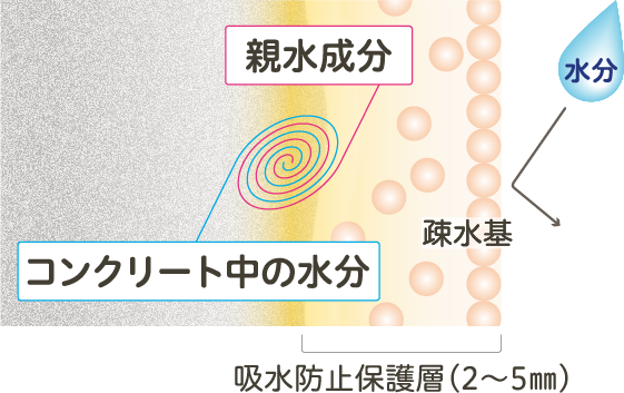 浸透性吸水防止剤 図解
